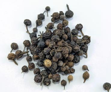 Kubeben Pfeffer