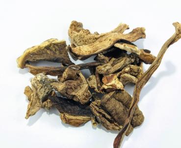Steinpilze getrocknet