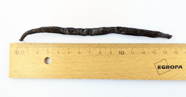 Vanille - Schote ( Bourbon) 13-15 cm